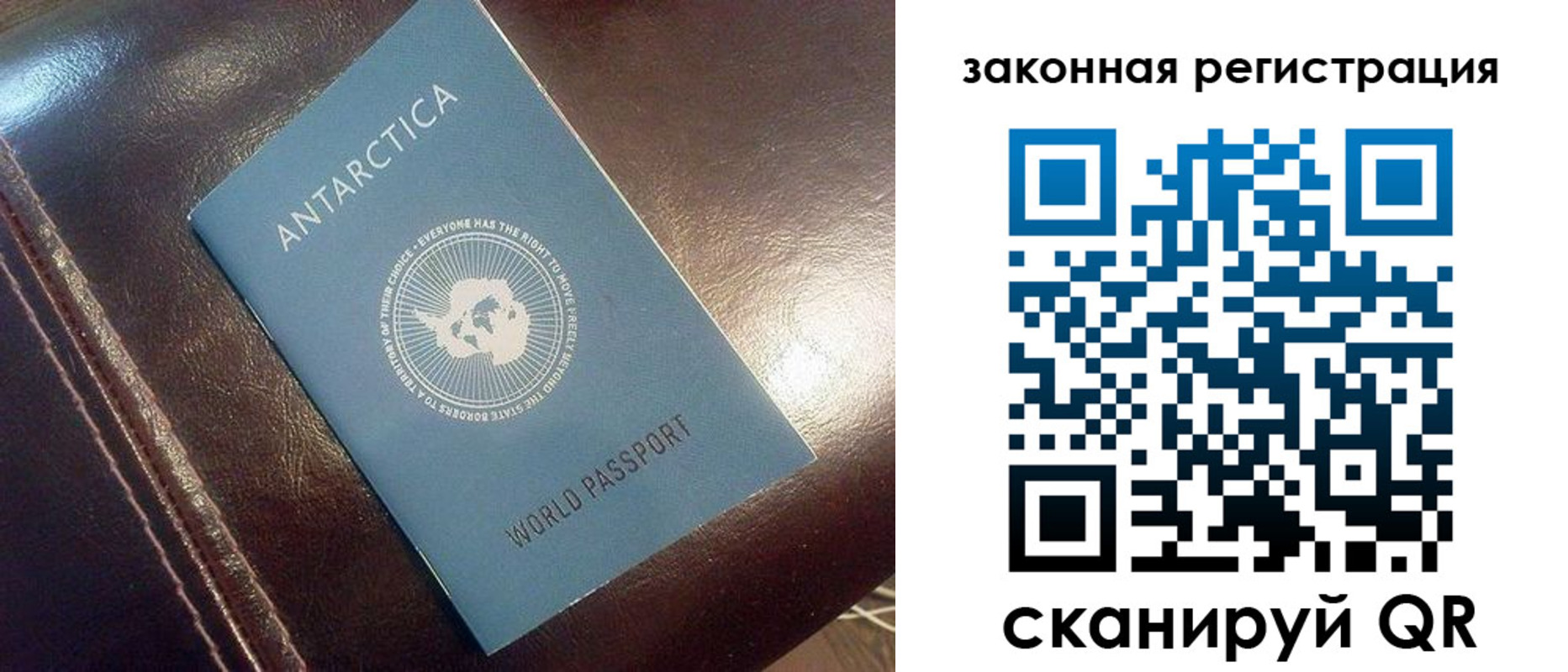 временная регистрация поиск в Снежногорске